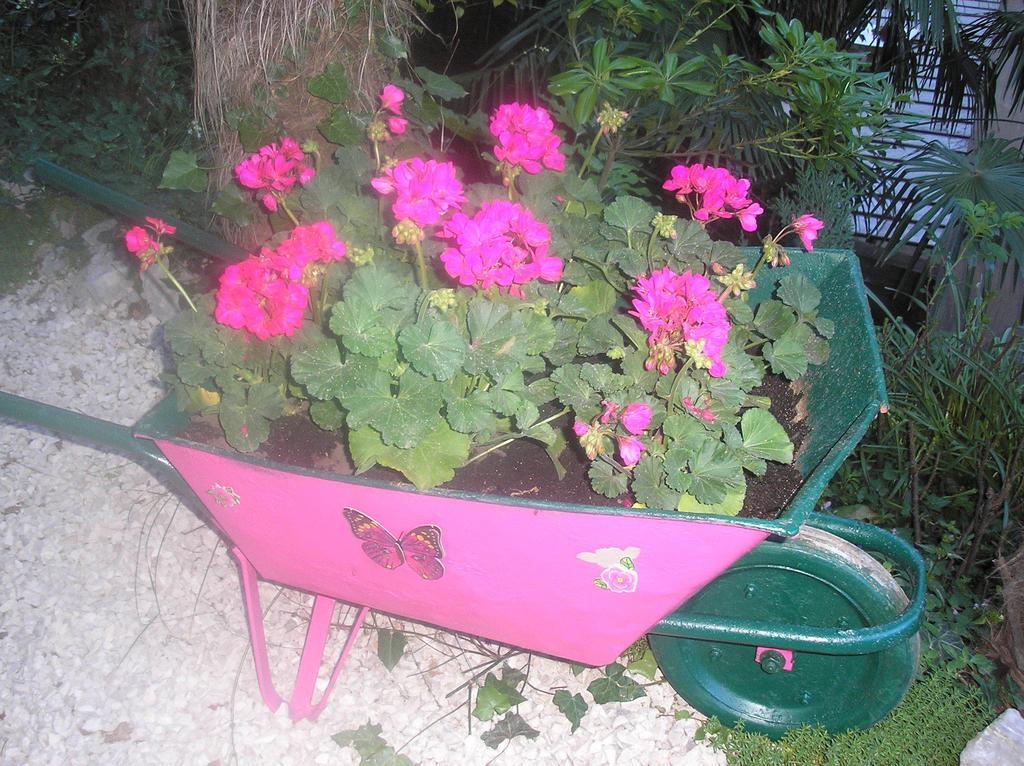 Apartment Apartment Nena With Private Free Parking Opatija